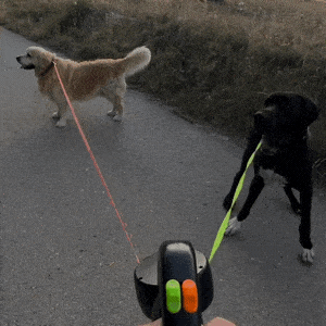 Cuddletail™ Dual Dog Leash