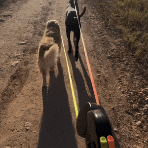 Cuddletail™ Dual Dog Leash