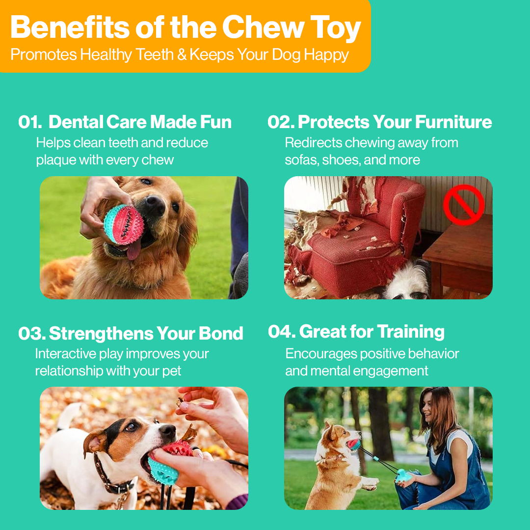 Cuddletail™ Suction Dog Toy