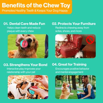 Cuddletail™ Suction Dog Toy